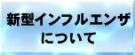 新型インフルエンザについて
