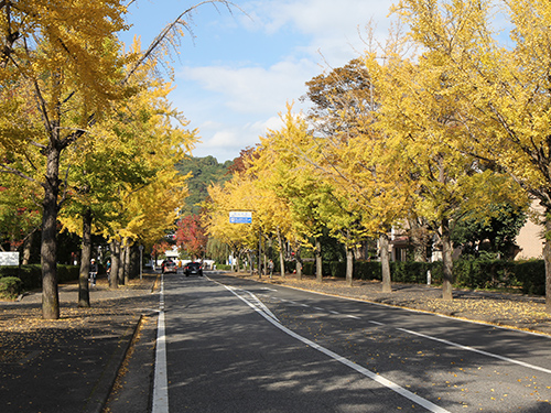 留学生活