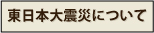 東日本大震災について