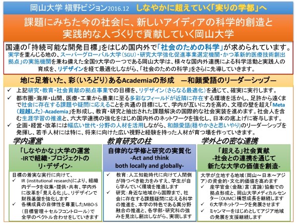 槇野ビジョン概要図