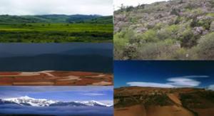 ecosystems