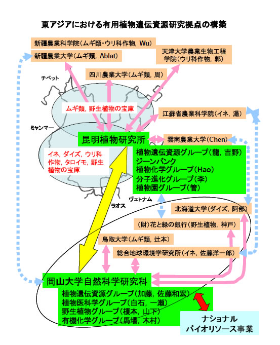 概念図