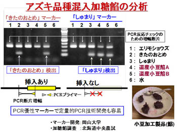 研究科紹介岡山大学大学院 環境生命科学研究科