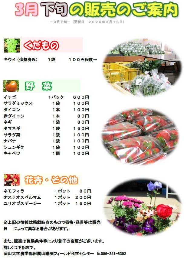 3月販売