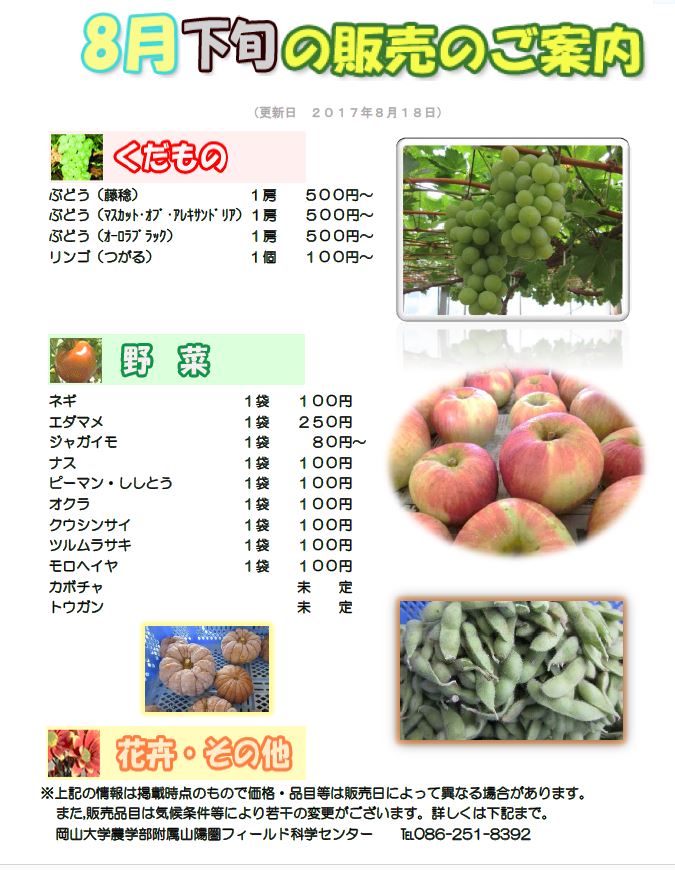 8月販売