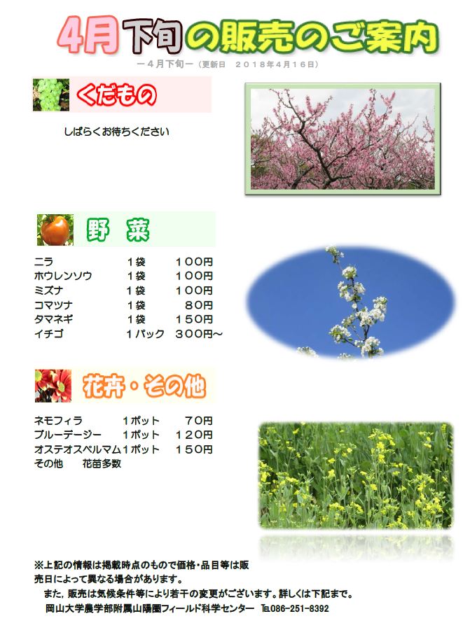 4月販売