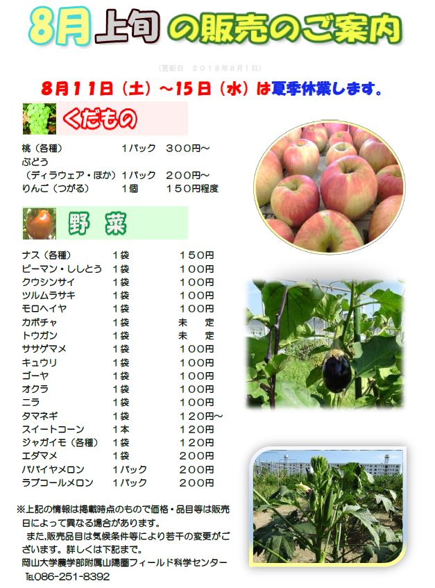 8月販売