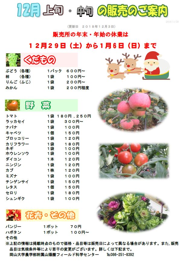 12月販売