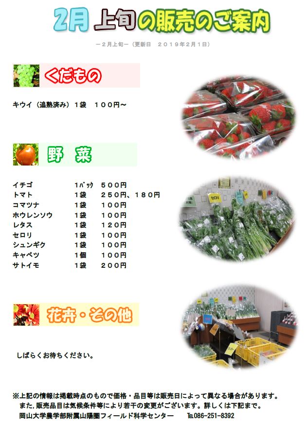 2月販売