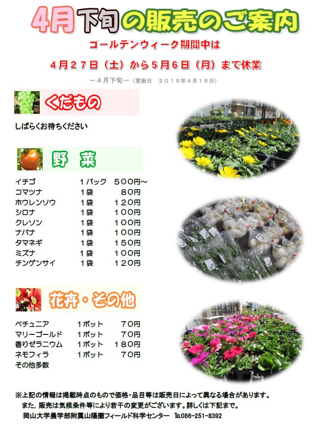 4月販売