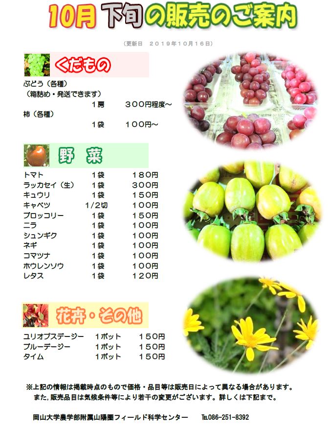 10月販売
