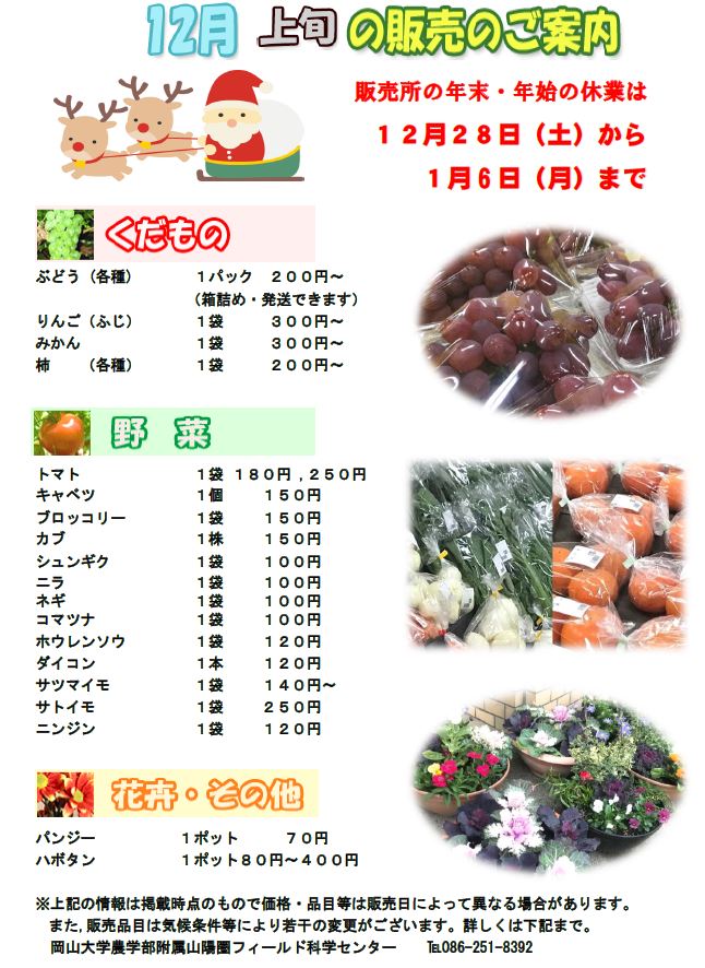 12月販売