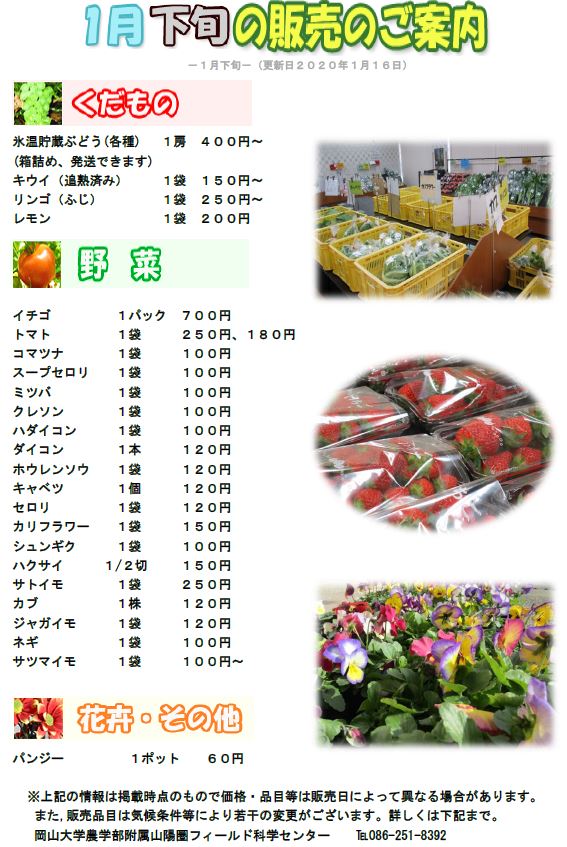 1月販売