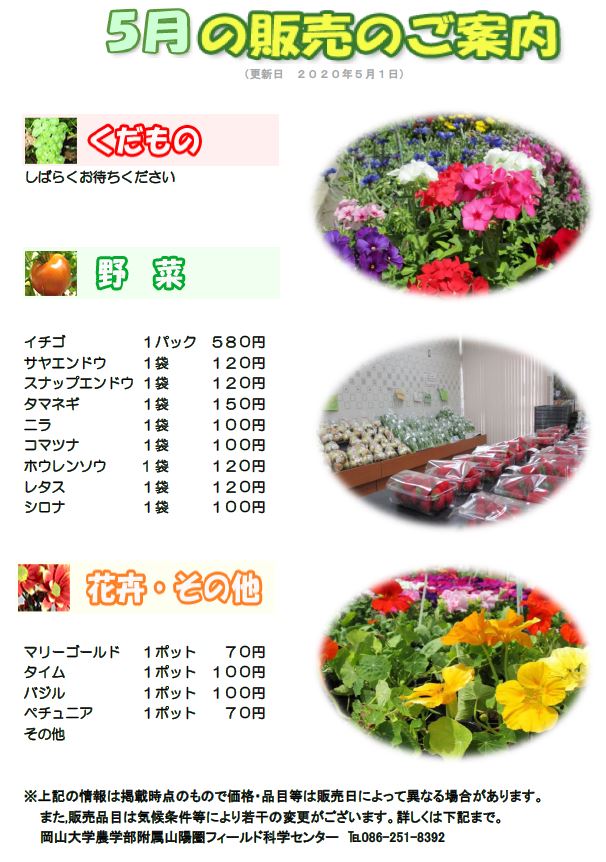 5月販売