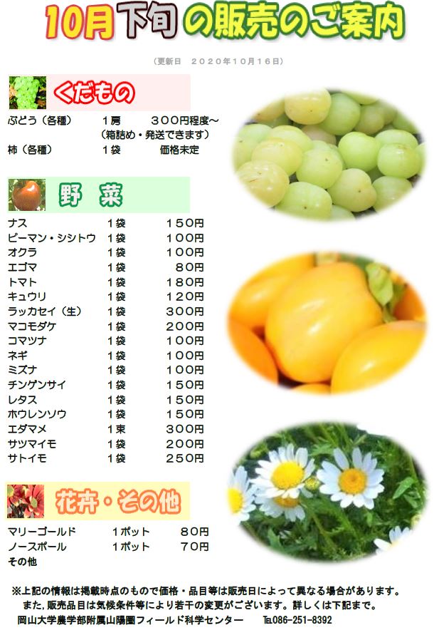 10月販売