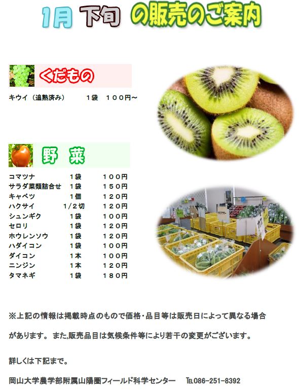 1月販売