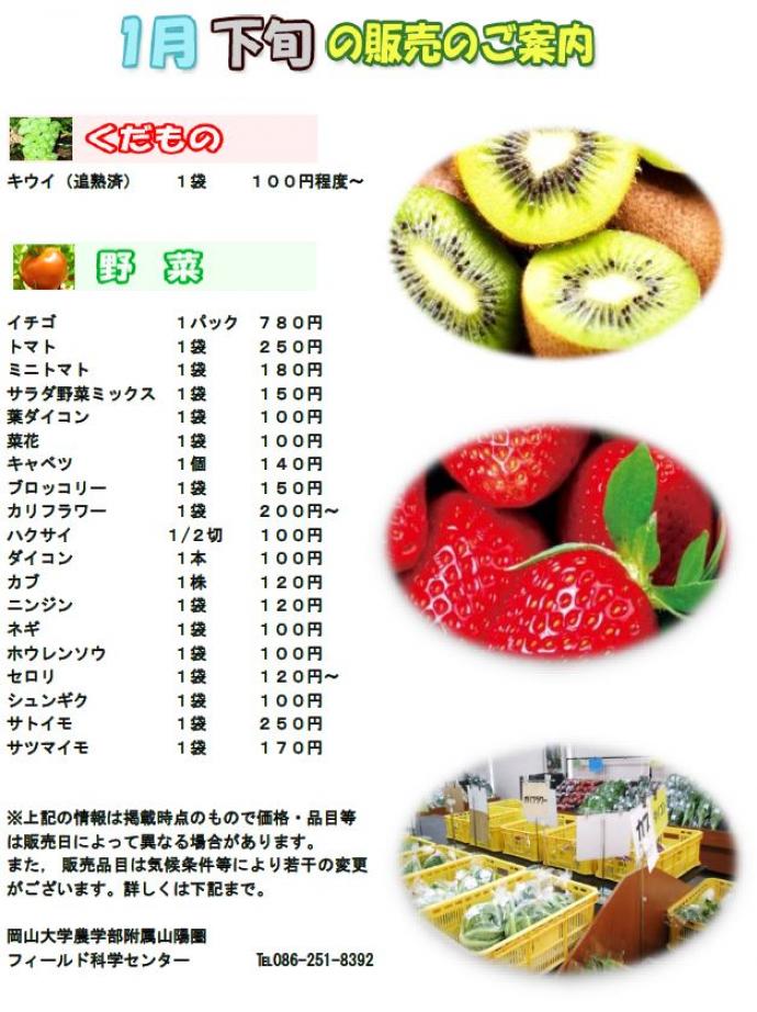 1月販売