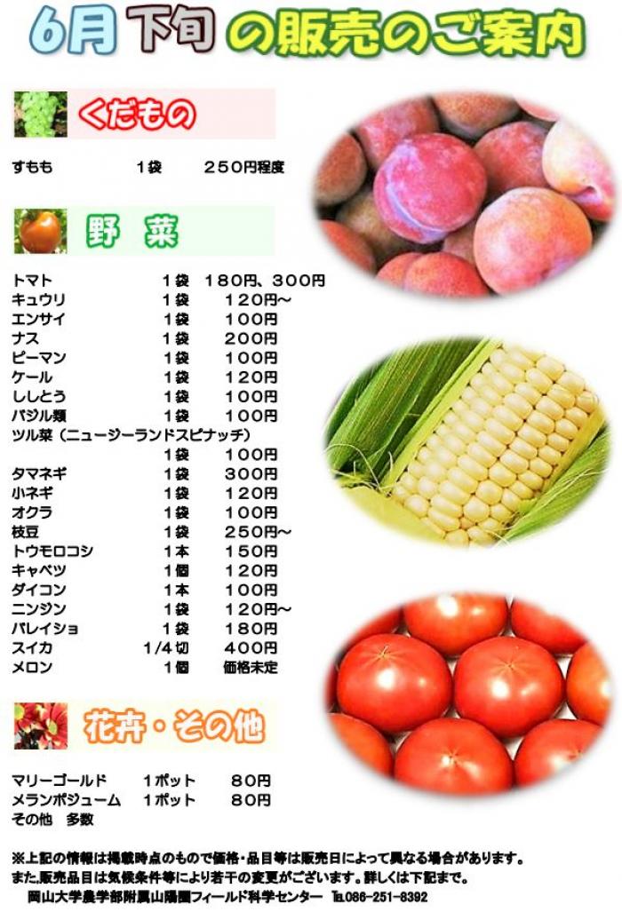 6月販売