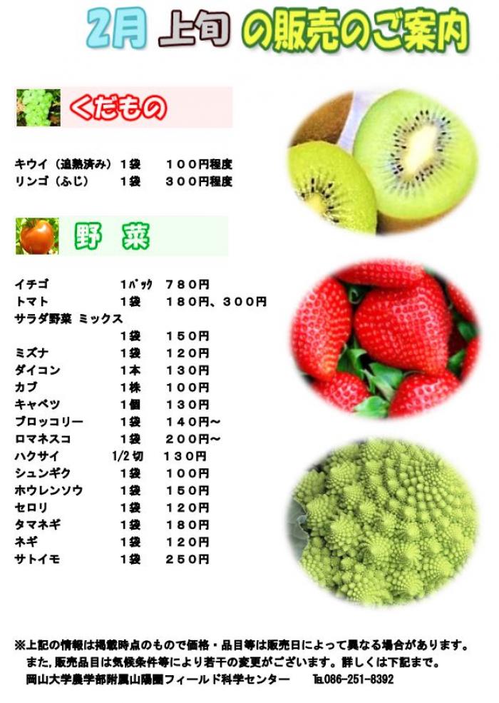 2月販売