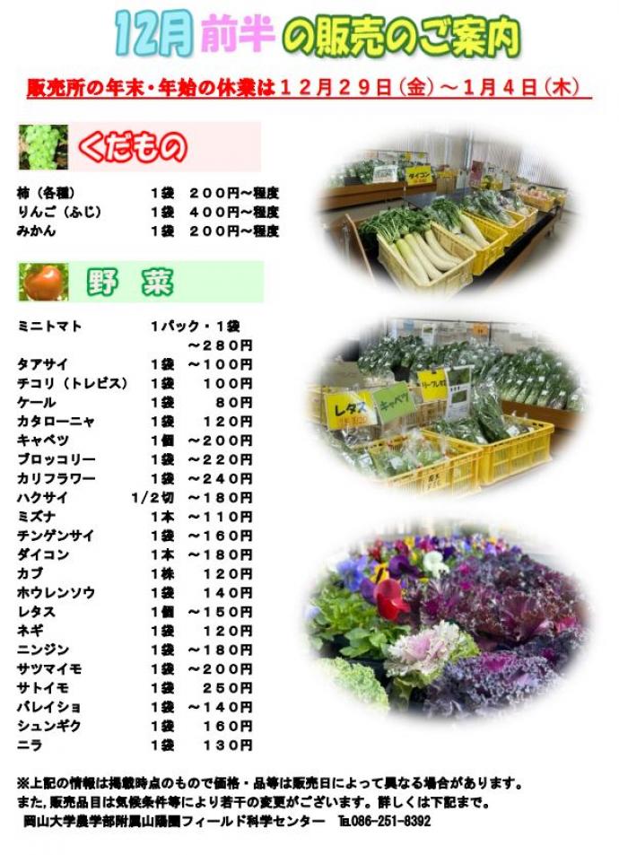12月販売