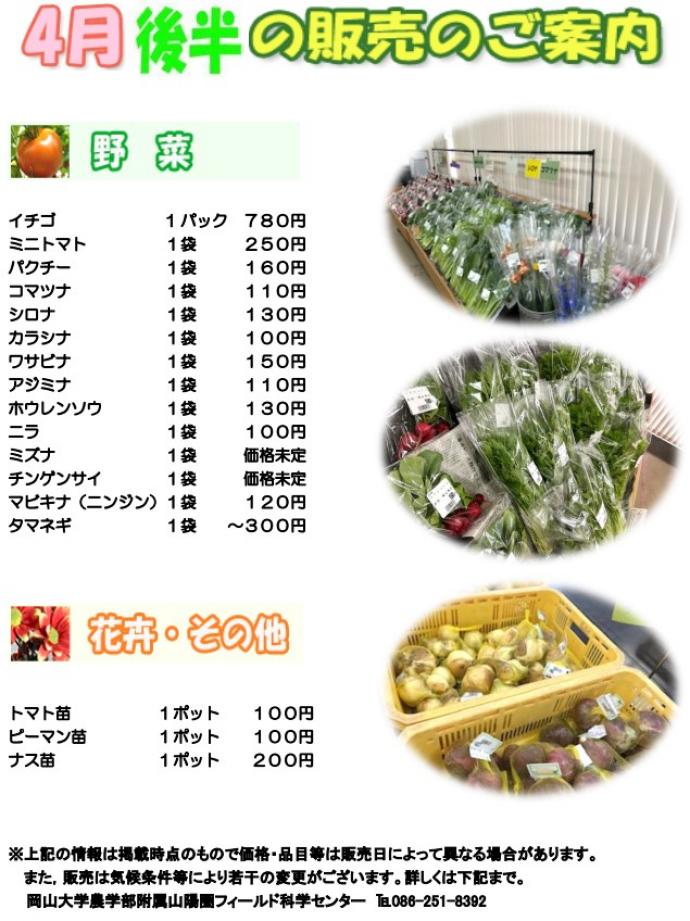 4月販売