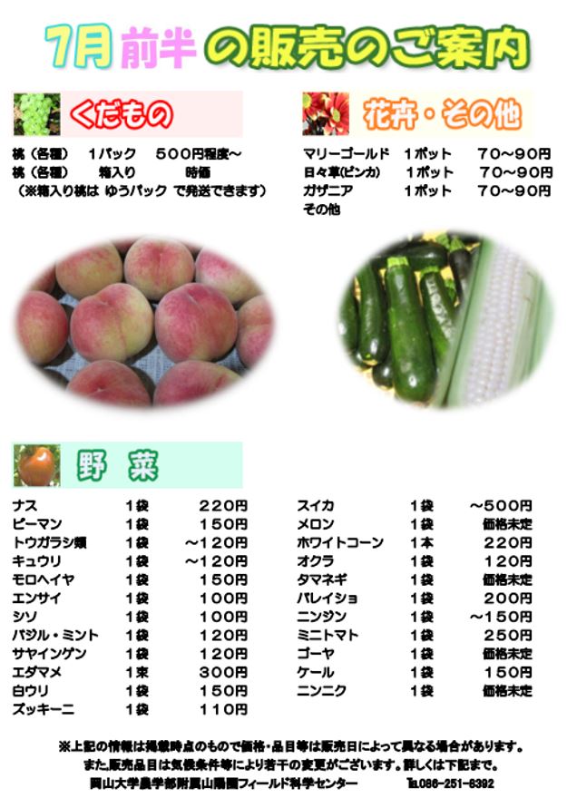 7月販売