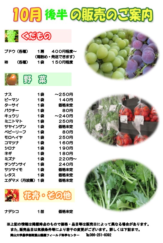10月販売