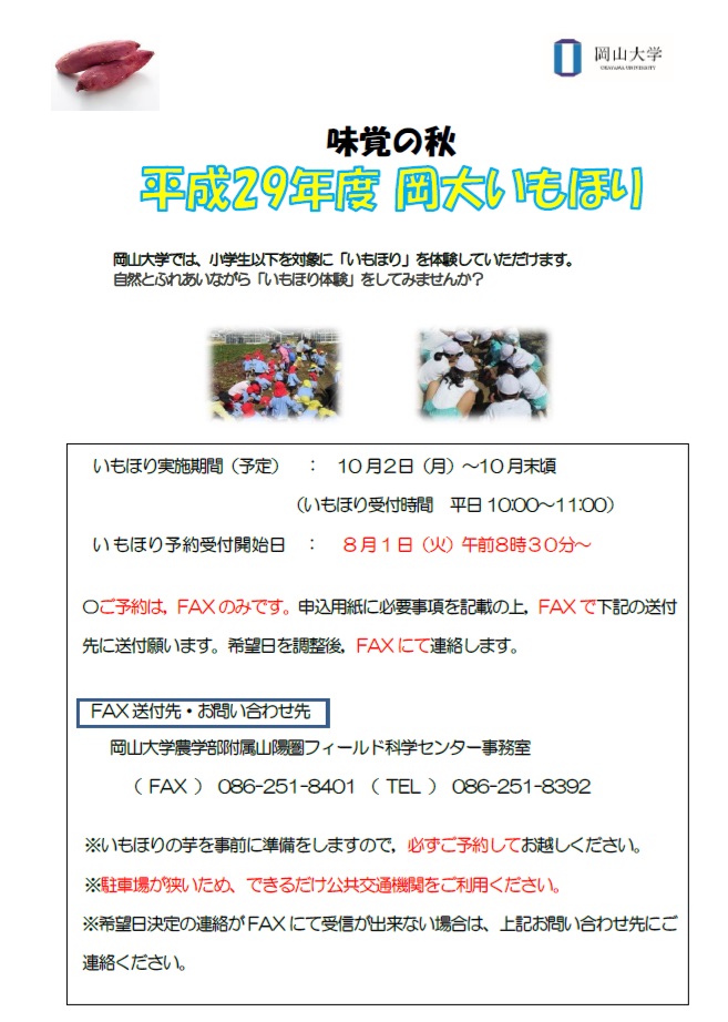 イモ掘りH29