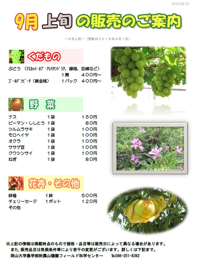 9月販売