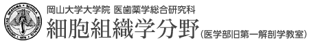 岡山大学大学院 医歯薬学総合研究科 細胞組織学分野（医学部旧第一解剖学教室）