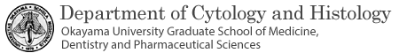 Department of Cytology and Histology Okayama University Graduate School of Medicine, Dentistry and Pharmaceutical Sciences