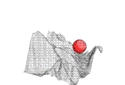 5.2case2-1面動画.gif