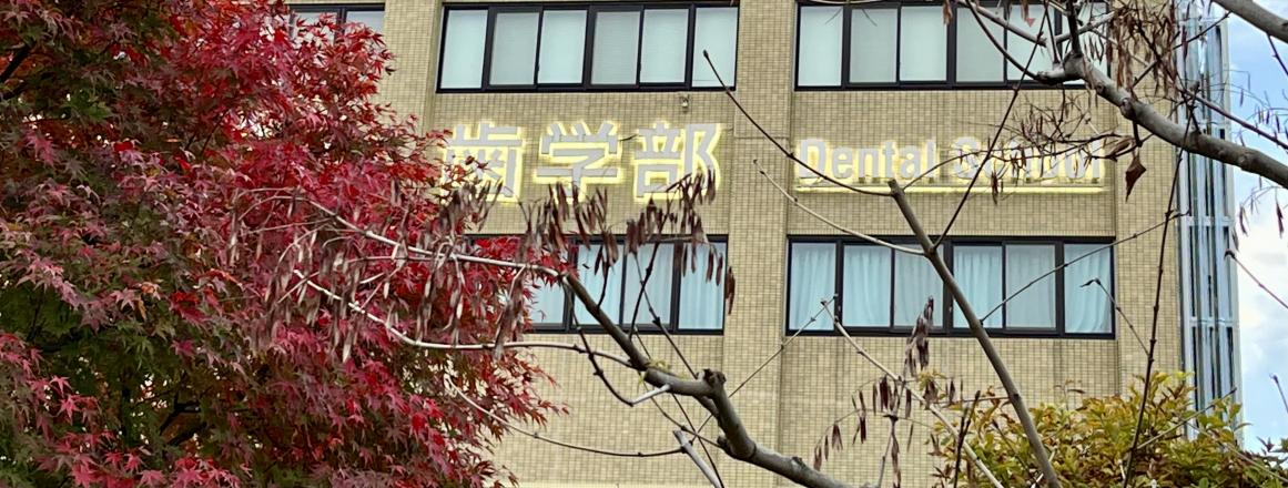 2022年 晩秋 改修二期工事開始前