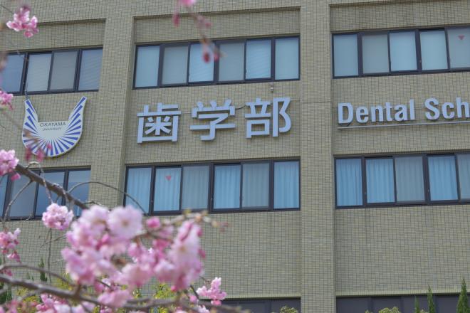 歯学部棟2025.4