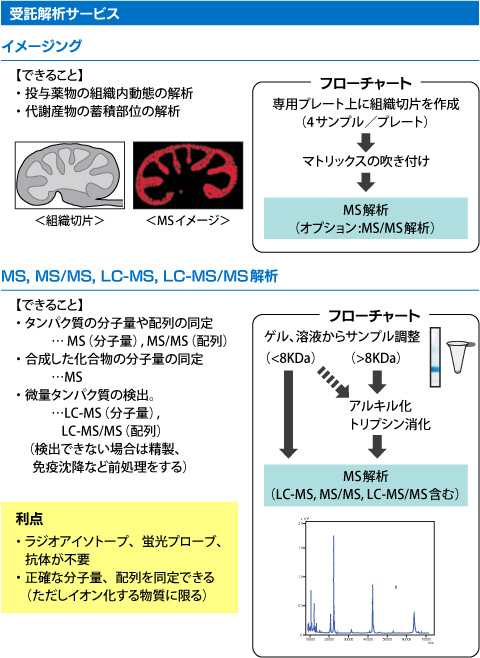 受託解析 LC-MSMS ゲノム・プロテオーム解析部門