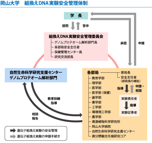 ゲノム プロテオーム解析部門 事業紹介 組換えdna実験