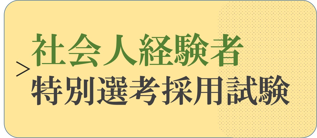 社会人経験者特別選考採用試験