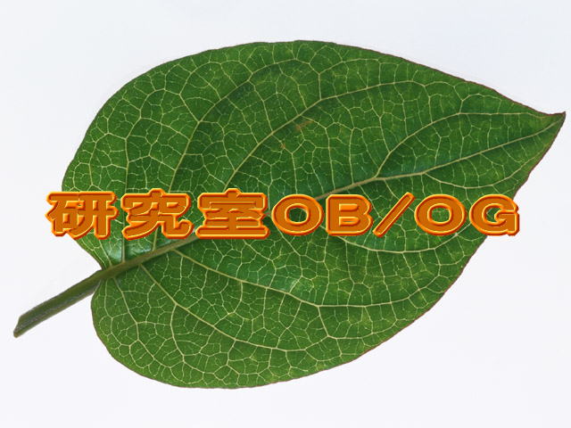 中塚研究室 の 近況