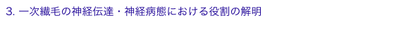 3. 一次繊毛の神経伝達・神経病態における役割の解明