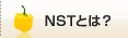 NST�Ƃ́H