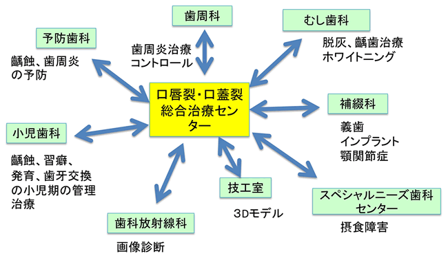 歯科主要診療科との連携図