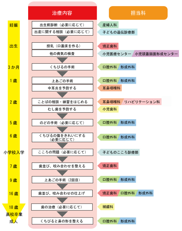 当センターにおける口唇裂・口蓋裂の治療の流れ