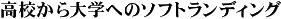 Zwւ̃\tgfBO