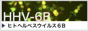 HHV-6B:ヒトヘルペスウイルス6B HHV-6B:ヒトヘルペスウイルス6B