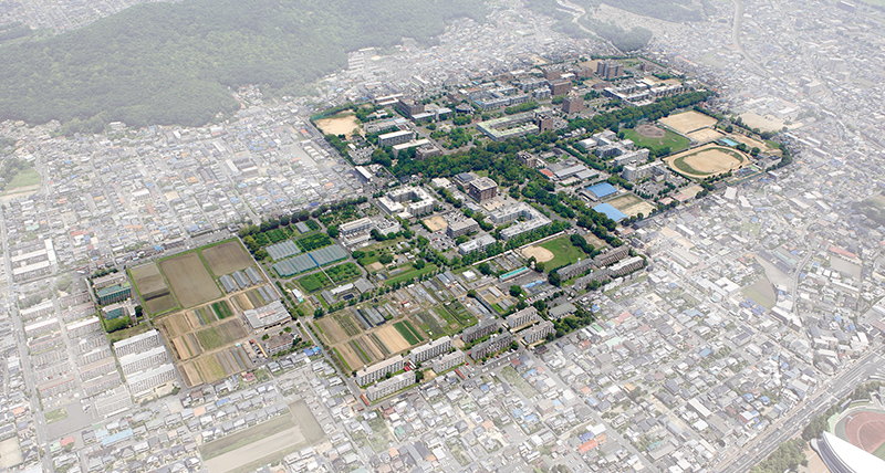 Campus (2014, Tsushima-area)