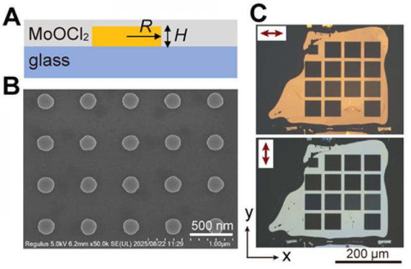 紙よりはるかに薄い結晶で、光のふるまいをデザイン―ナノメートル厚の結晶の「向き」と「ねじれ」による新しい光制御 ―
