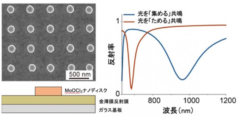 光を「集める」「ためる」二つの働きを一つのナノ構造で実現〜高感度センサーや光情報処理デバイスへの応用に期待〜