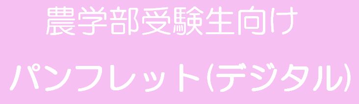 受験情報冊子をダウンロードできます[PDF形式]