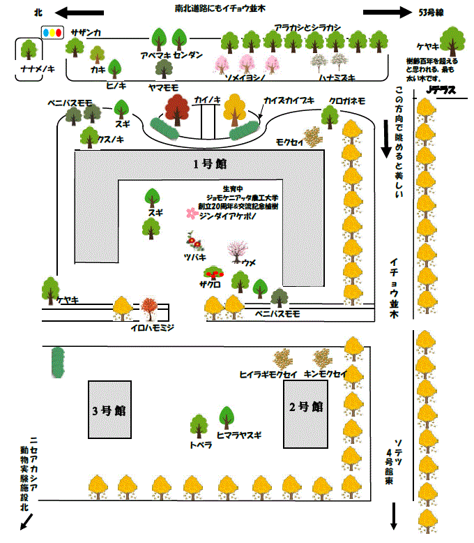 農学部樹木マップ