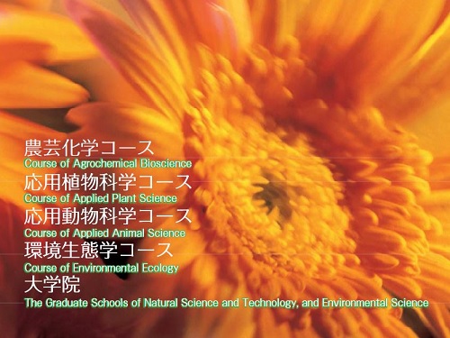 Faculty of Agriculture Outline
